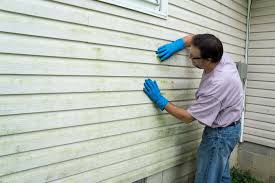 Siding Removal and Disposal in Hazel Park, MI